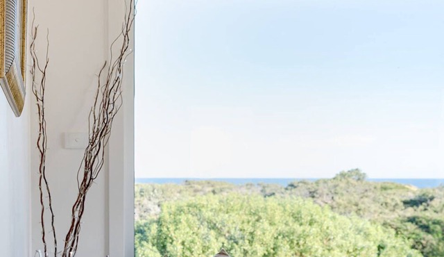 Haven Views