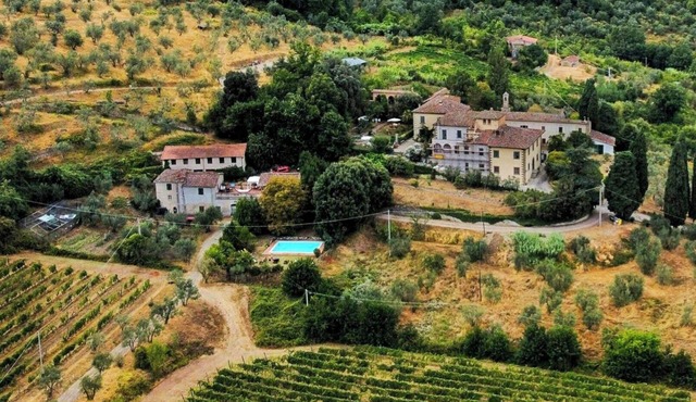 Lemon house among vineyards in Bacchereto