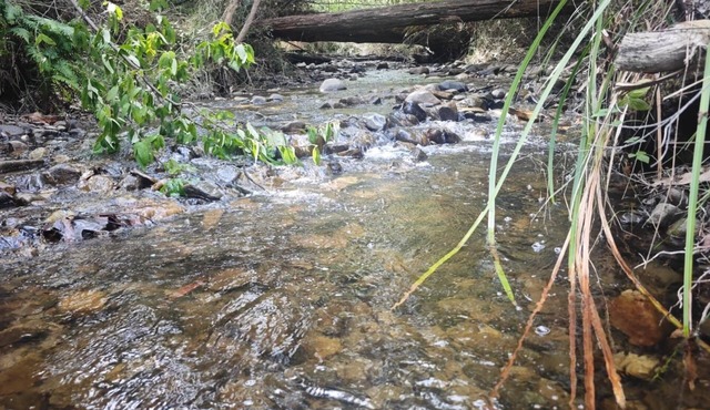 Marysville River Retreat