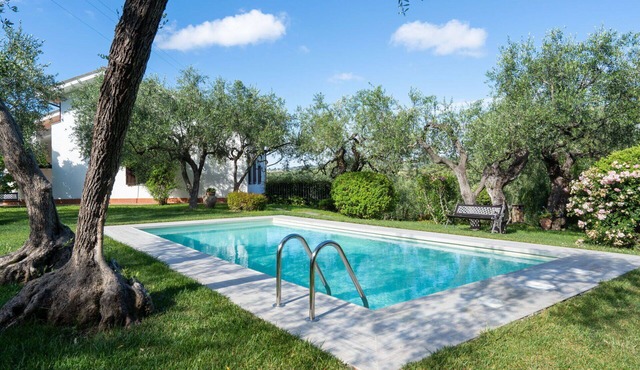 Nice apartment in villa with pool, WIFI, A/C, TV, patio, pets allowed and panoramic view