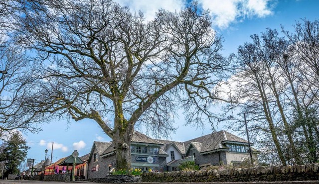 Oak Tree Inn