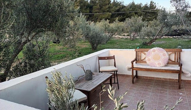 Olive & Home in Samos