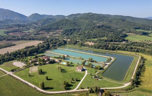 Pet Friendly Home In Montone With Swimming Pool