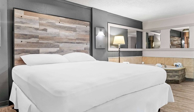 Rodeway Inn & Suites Saginaw I-675