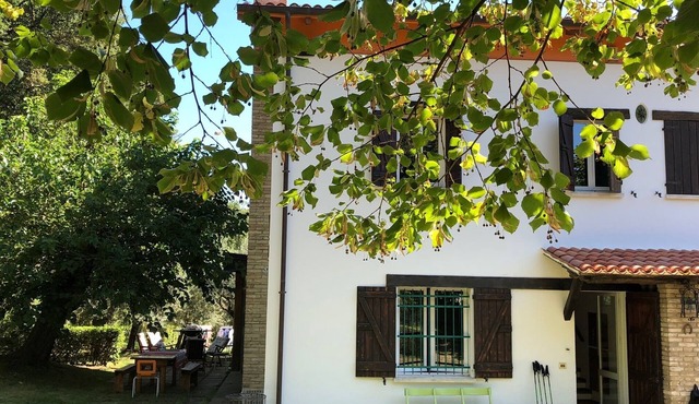 Roncosambaccio: Villa surrounded by olive trees very close to the beach)