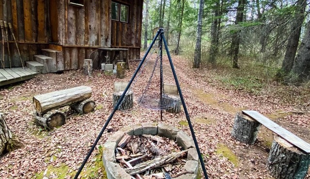 Rustic Backwoods Cabin Getaway! Escape the Hustle!