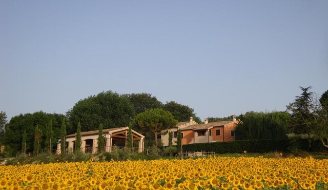 Rustico del Conero