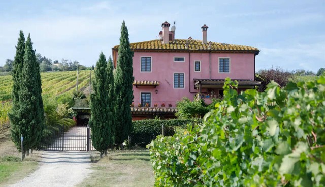 Small Tuscan villa in the heart of lush vineyards