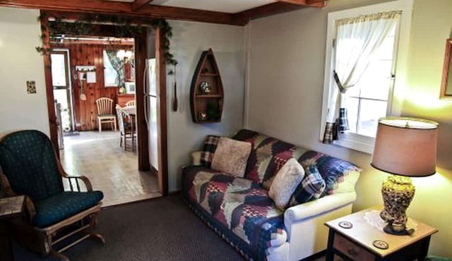 Stunning Cabin with Lake Access and Barbecue in Carp Lake, Michigan