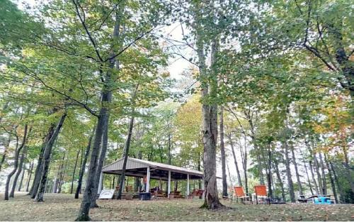 The Evergreen Cabin