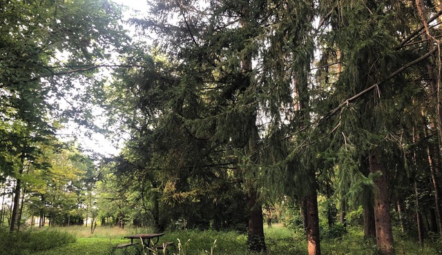 The Rustic Side
