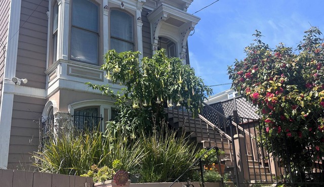 Thoroughly Modern Victorian Guest Suite on historic Mission District street.