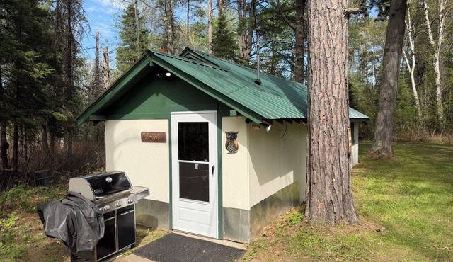 Tranquil 1-bedroom cabin in peaceful Crystal Falls getaway.