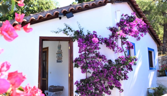 Voro Cottage, Lithakia Village, private plunge pool and panoramic sea views.
