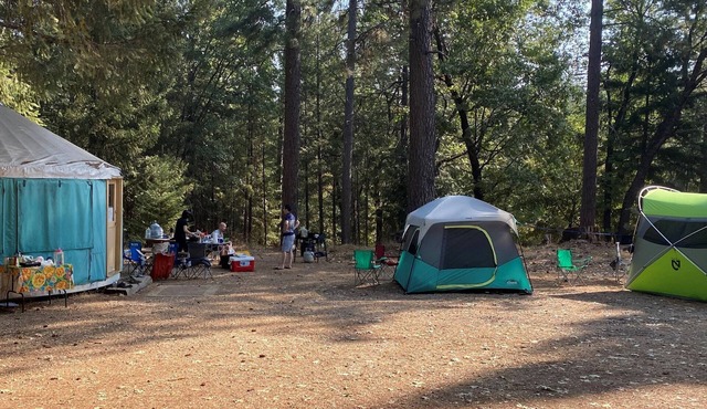 Yurt and Camp Site - Perfect for Large Groups