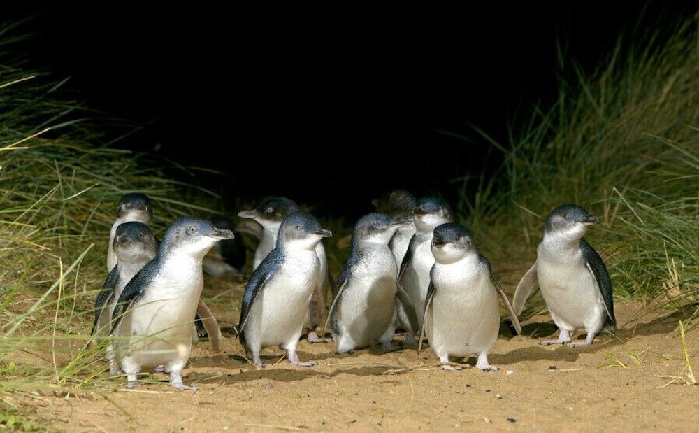 Photo of Others in Cowes