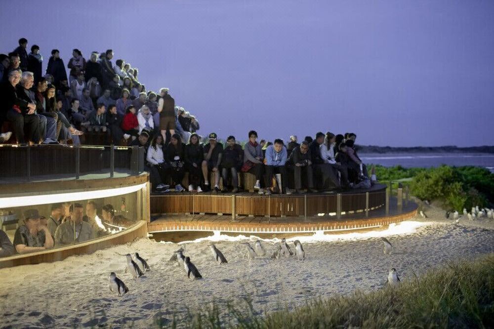 Photo of Others in Cowes