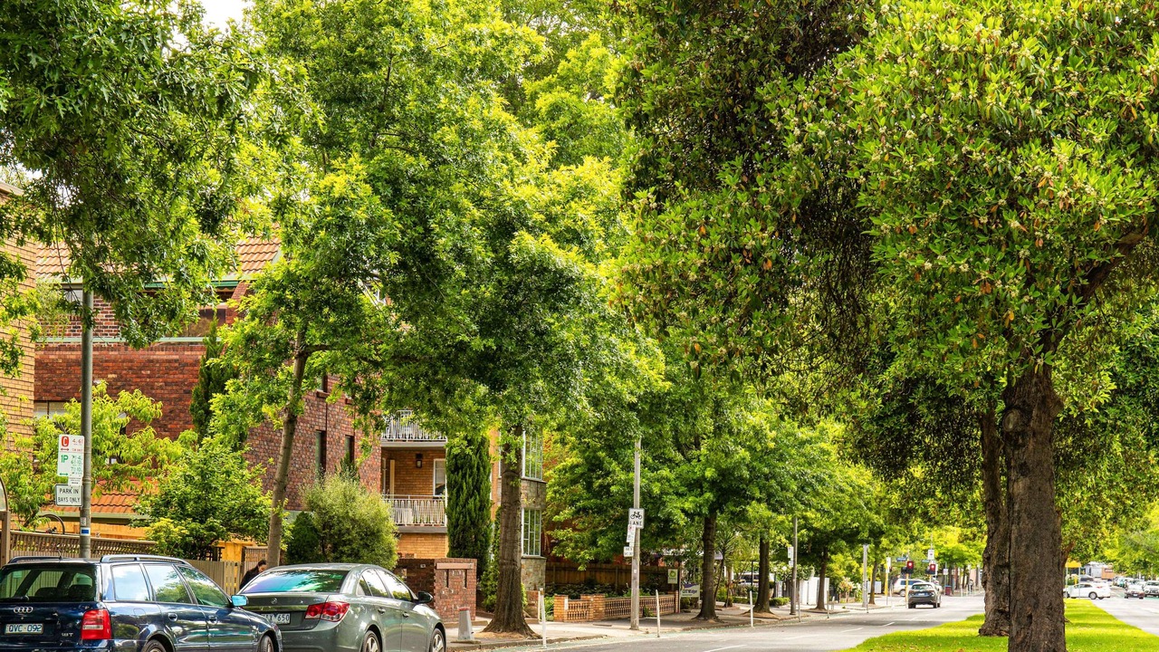 Photo of Others in East Melbourne