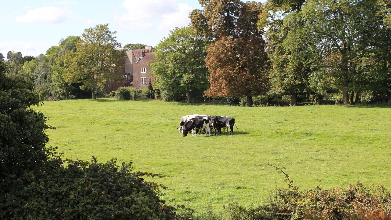 Photo of Others in Hambrook