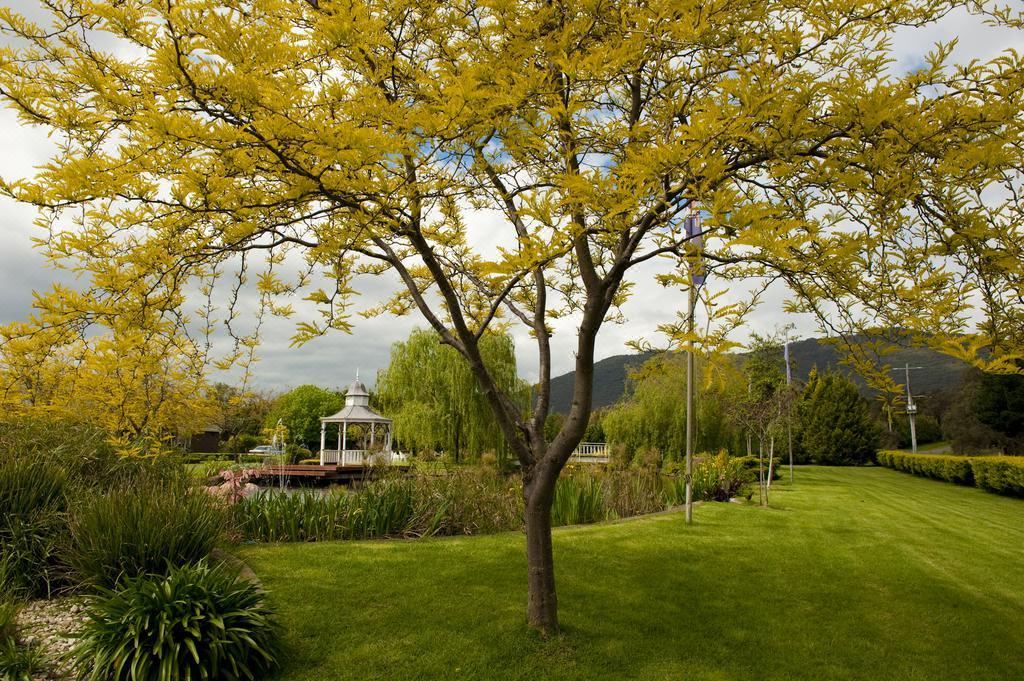 Photo of Outdoor in Kilsyth South