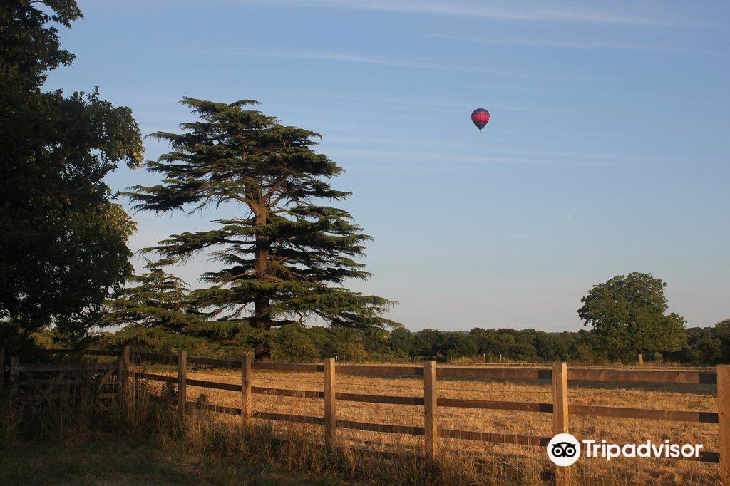 Photo of Outdoor in Hambrook