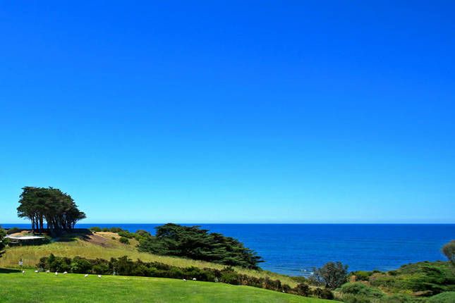 Photo of Outdoor in Flinders