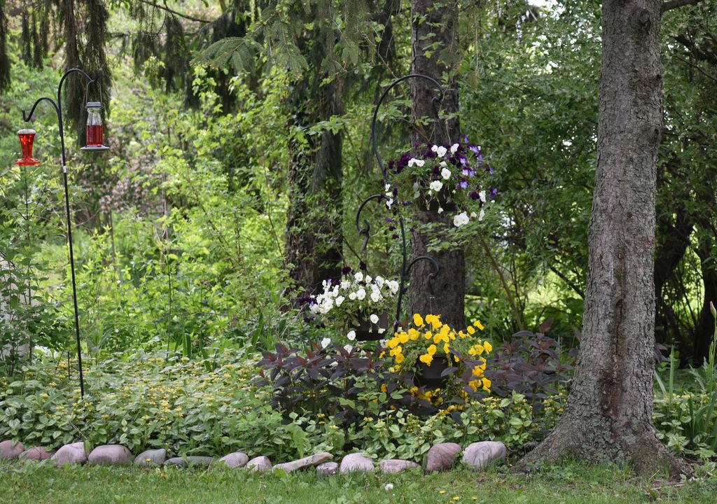 Photo of Others in Oak Harbor