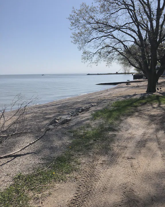 Photo of Others in Oak Harbor