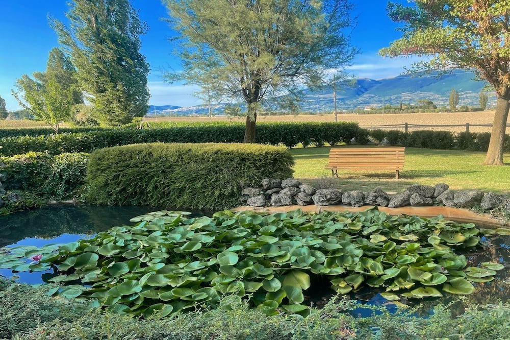 Photo of Outdoor in Limiti