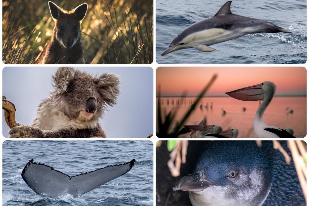 Photo of Others in Sunderland Bay