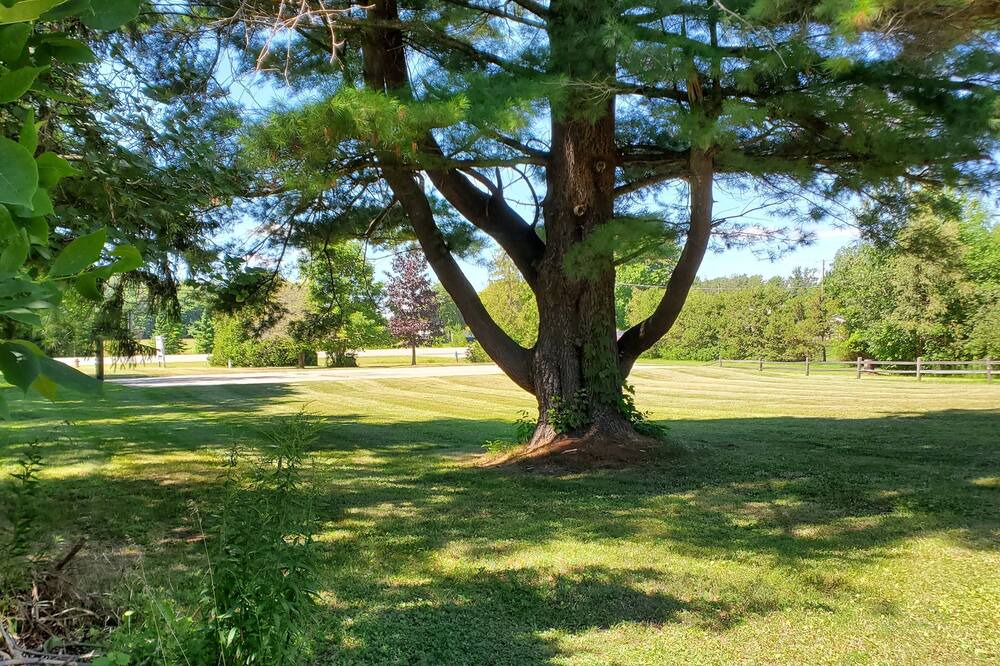 Photo of Others in Applegate
