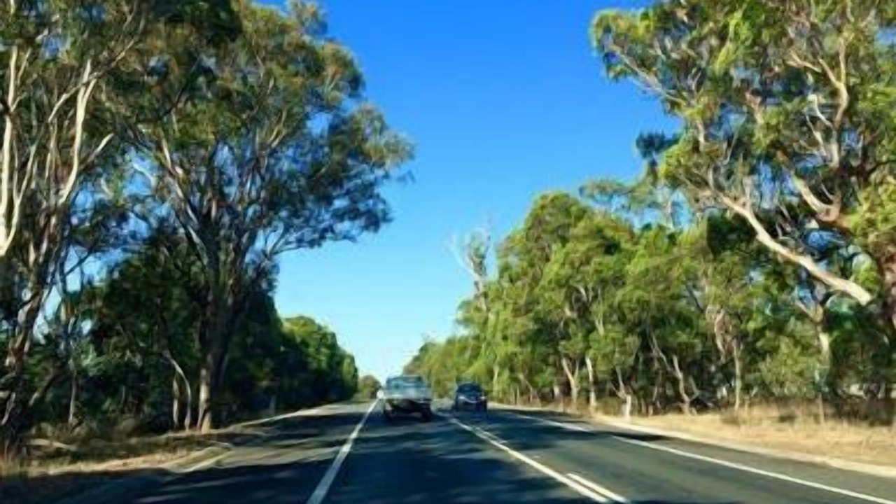 Photo of Outdoor in Orbost