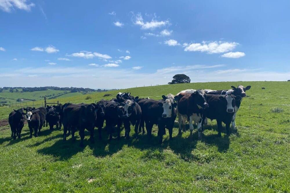 Photo of Others in Foster North