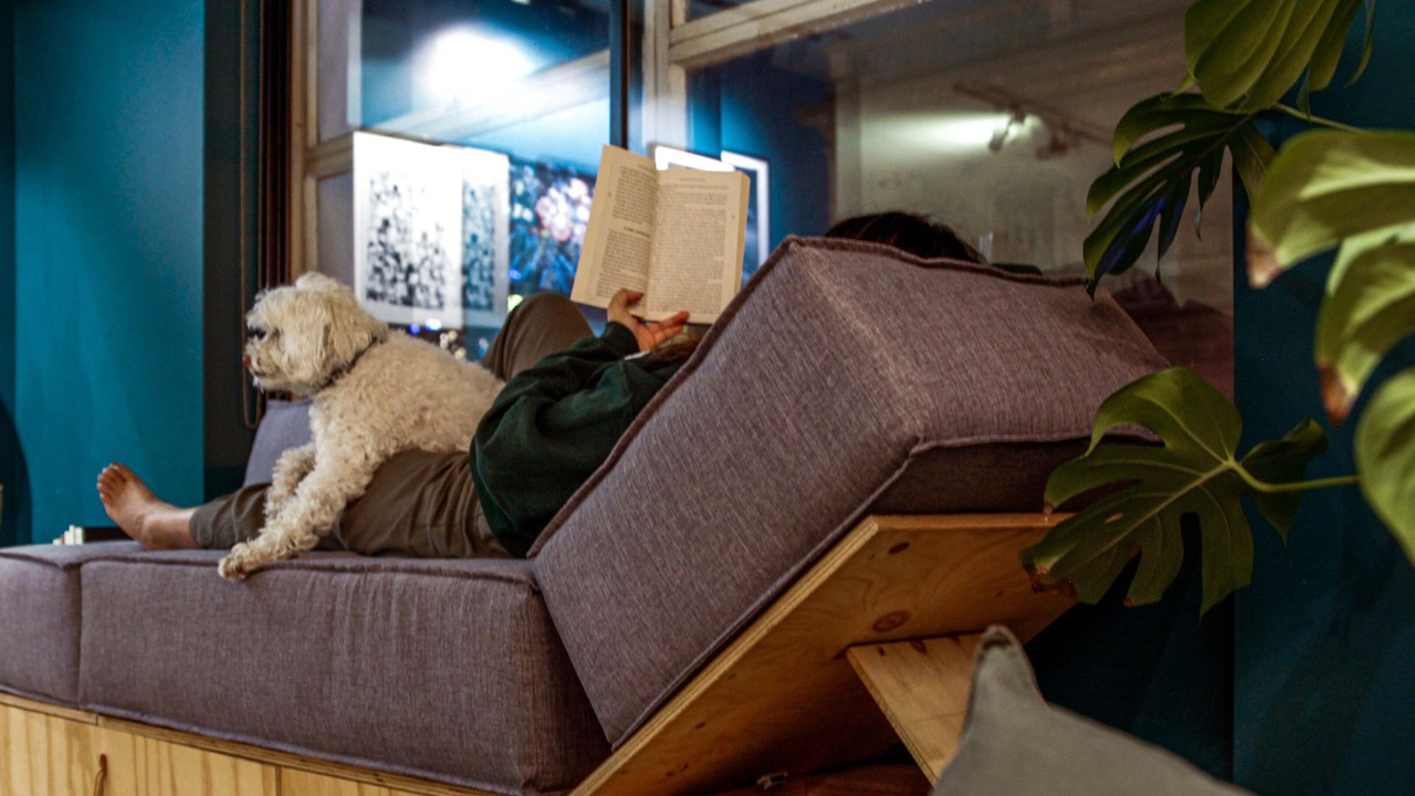 Photo of Livingroom in Fitzroy