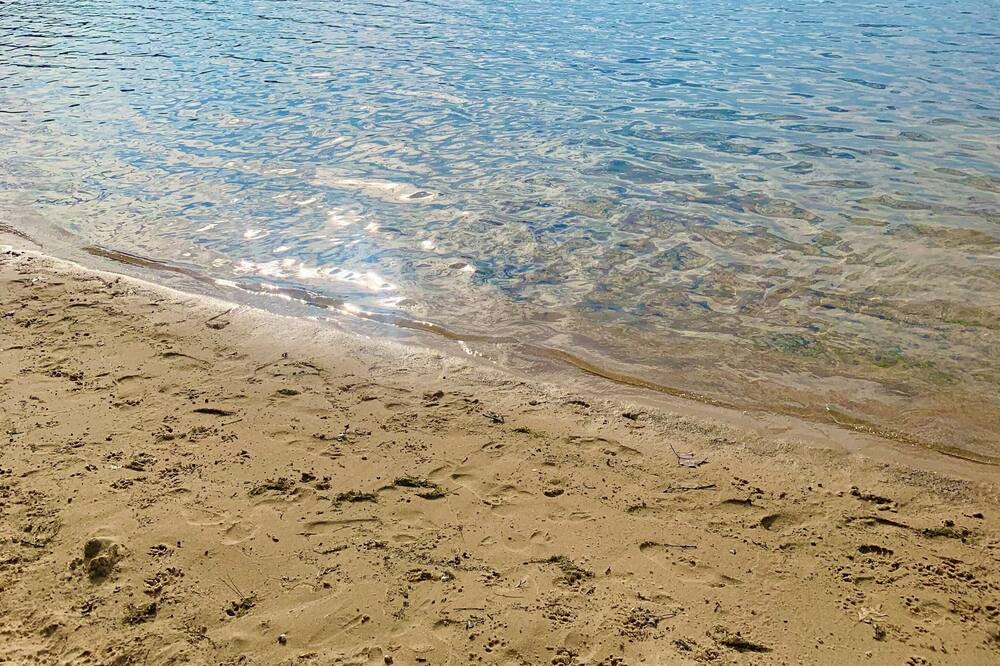 Photo of Outdoor in Kalkaska