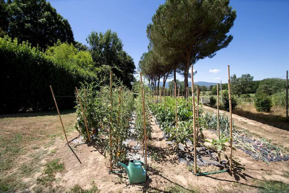 Photo of Outdoor in Porcari