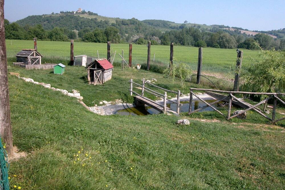 Photo of Others in Todi