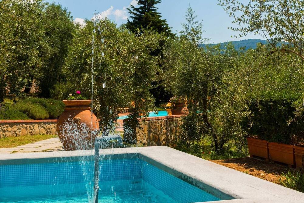 Photo of Others in Pieve a Nievole