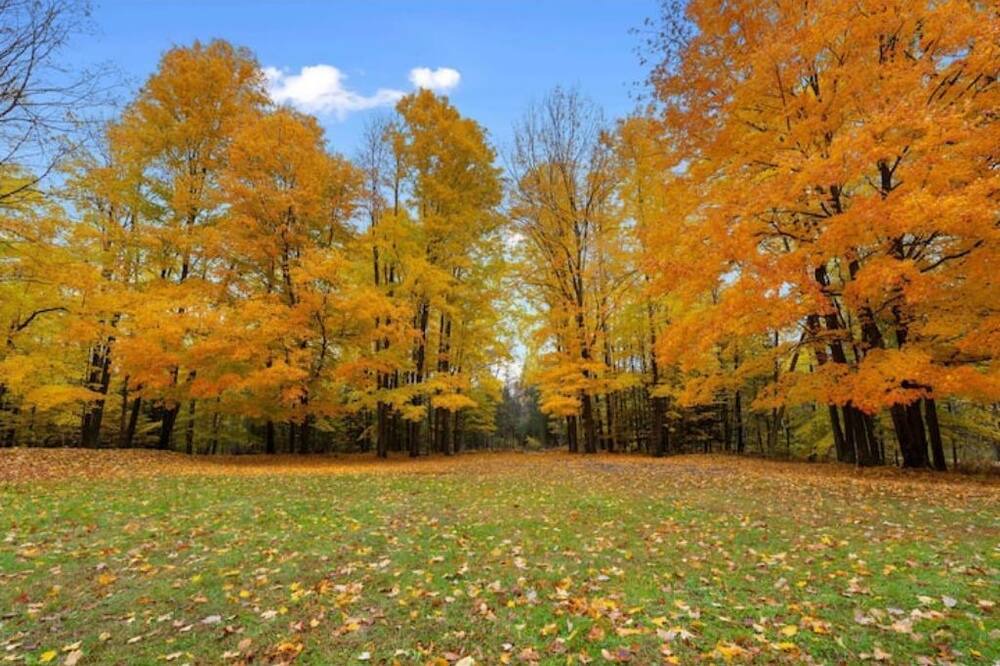 Photo of Outdoor in Brazeau