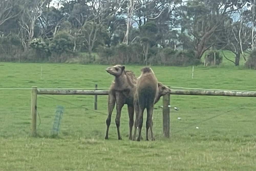 Photo of Others in North Wonthaggi
