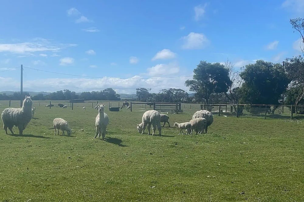 Photo of Outdoor in North Wonthaggi