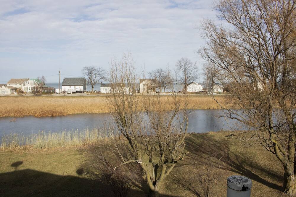 Photo of Outdoor in Oak Harbor