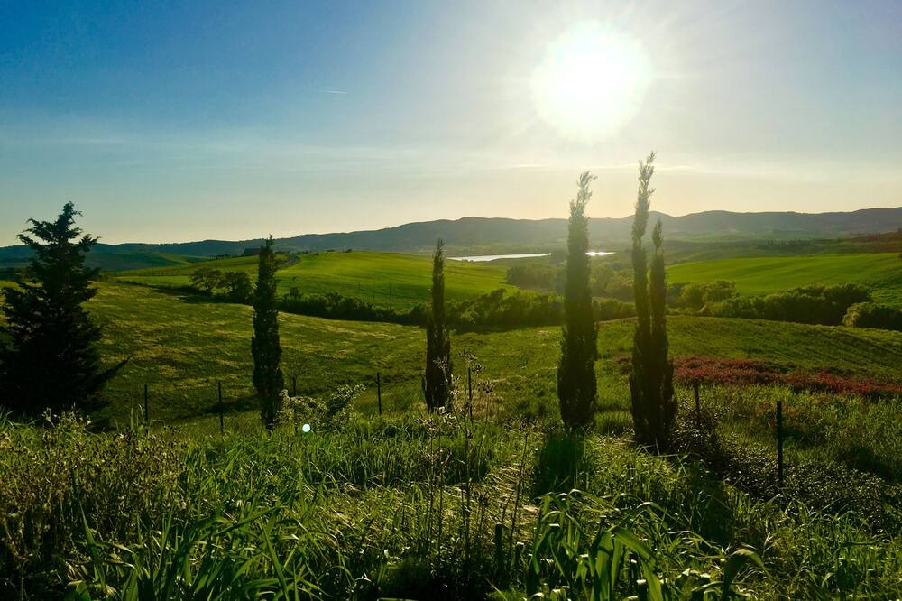 Photo of Outdoor in Santa Luce
