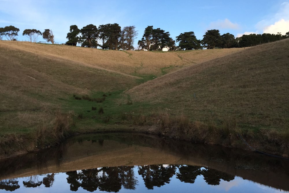 Photo of Others in Fish Creek