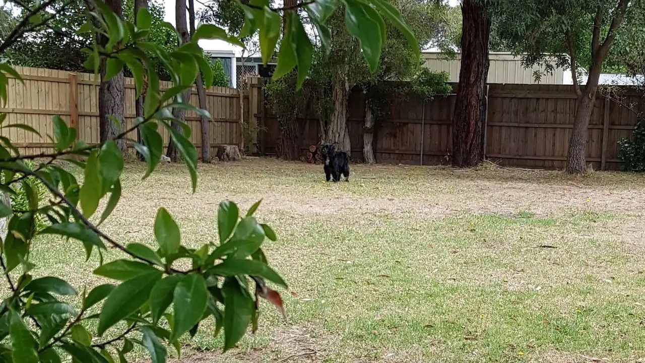 Photo of Outdoor in Wonthaggi