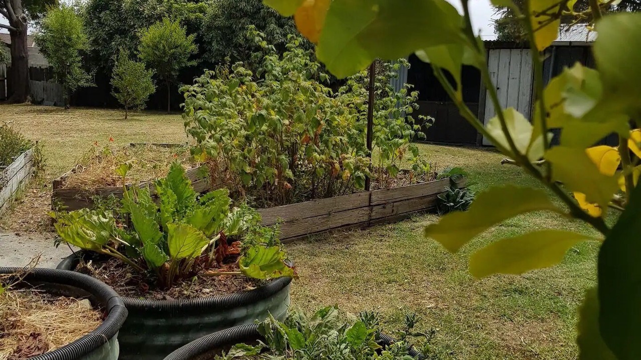 Photo of Outdoor in Wonthaggi