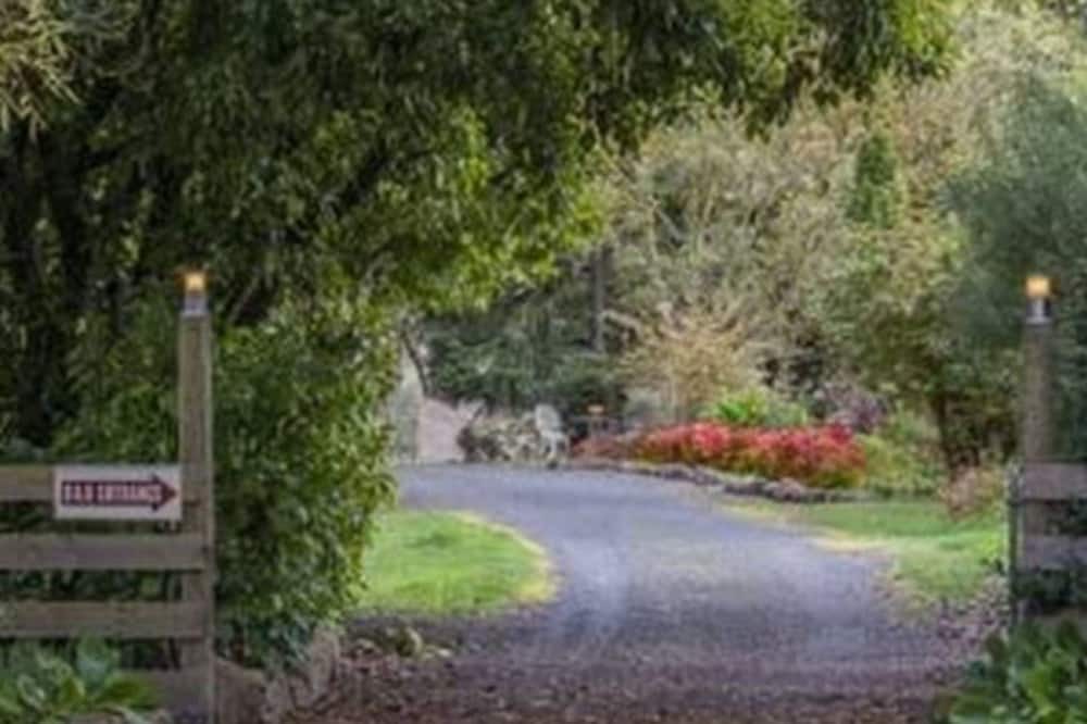 Photo of Outdoor in Limonite