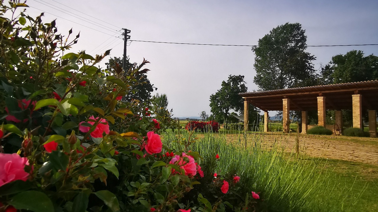 Photo of Outdoor in Cannara