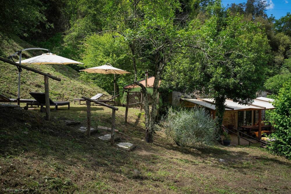 Photo of Outdoor in Collesalvetti