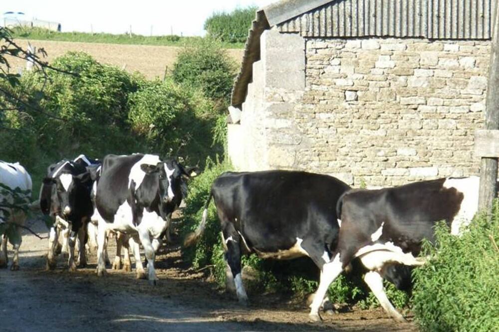 Photo of Outdoor in Slaughterford